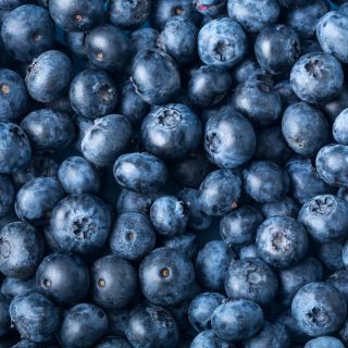 Extracto de arándano